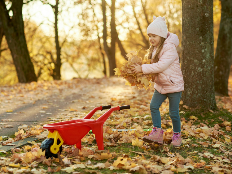 Free Autumnal Activities for Families This Half Term
