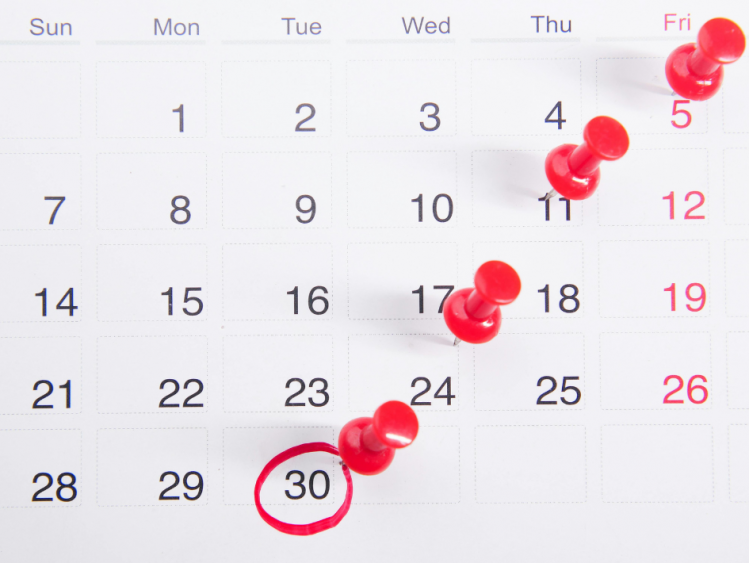 Last-Minute GCSE Revision: How to Boost Your Marks in 6 Weeks