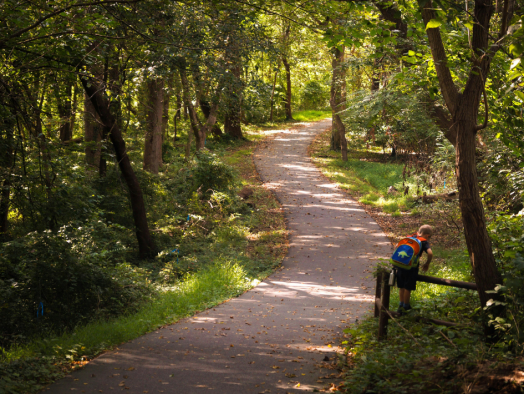 Budget Friendly Half Term Activities